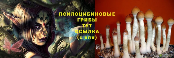 круглые Армянск