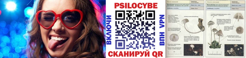 Галлюциногенные грибы Psilocybe  купить наркоту  Рыльск 